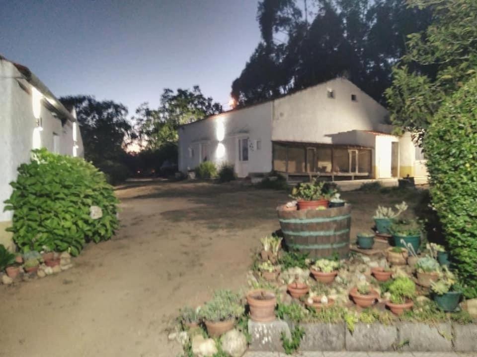 Vila Quinta Da Mesa Macinhata do Vouga Exteriér fotografie