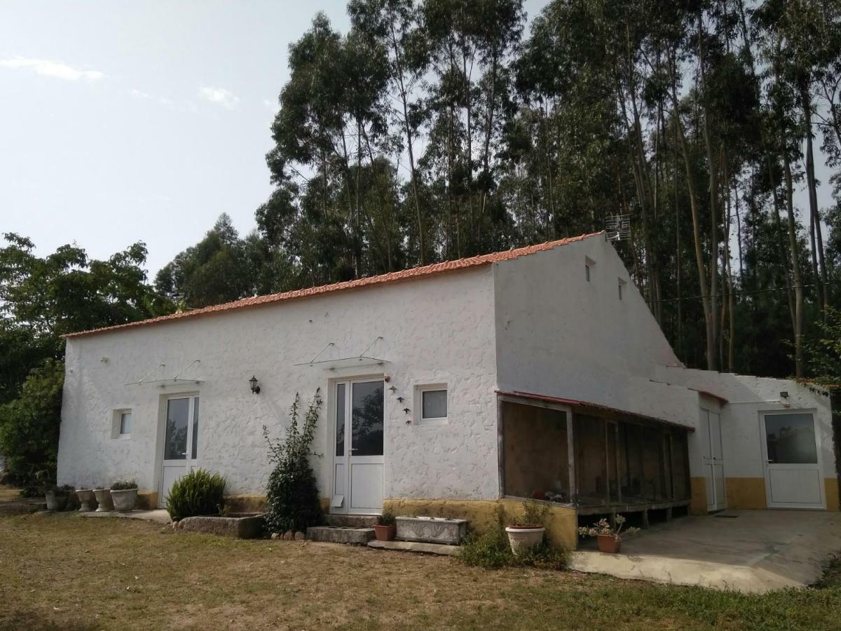 Vila Quinta Da Mesa Macinhata do Vouga Exteriér fotografie